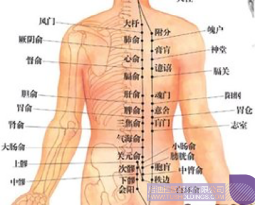 1581994885154849.png 2.png