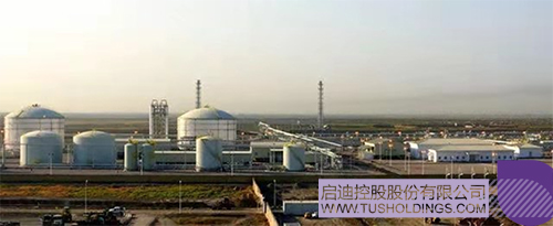 1612323922466631.jpg 1.jpg