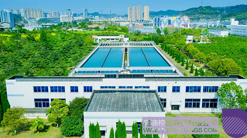 1710209599307758.jpg 5c.jpg